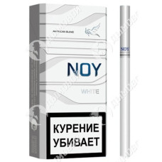 Noy White Noy White